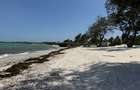 Land in Watamu - 8