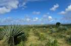4,046.86 m² Land in Vipingo - 10