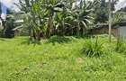 0.5 ac Land in Garden Estate - 4