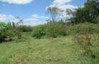 25 ac Land at Moi S Lake Rd - 13