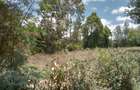 Residential Land at Upper Matasyia - 4