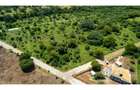 Residential Land in Vipingo - 12