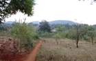 9 ac Land at Ithanga - 15