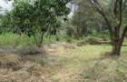 Residential Land at Masai West Rd - 9