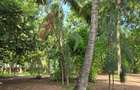 1 ac Land at Kikambala - 11