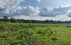 25 ac Land in Kitisuru - 1