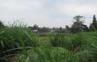 Land at Red Hill - 12