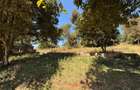 6.39 ac Residential Land in Tigoni - 8
