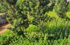 0.09 ac Residential Land at Migaa Golg Road - 4