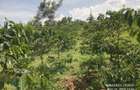 6.5 ac Land at Nandi Hills - 6