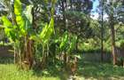 0.125 ac Residential Land at Runda - 9
