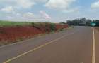 5 ac Land at Near Tatu City - 1