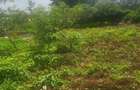 Land in Karen - 6