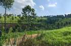 Land at Tigoni - 10