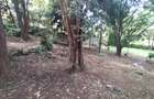 0.78 ac Residential Land in Riara Road - 3