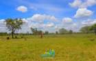 Commercial Land at Sajiloni - 6