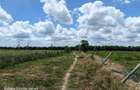 10 ac Land at Isinya - 12