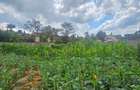 Residential Land in Runda - 4