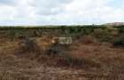 5 ac Residential Land in Athi River - 1