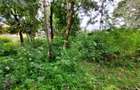 Residential Land at Runda Grove - 2