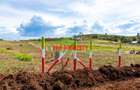0.05 ha Residential Land at Nachu - 10