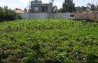 0.125 ac Residential Land in Ongata Rongai - 1