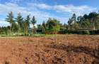 6,000 m² Land in Limuru - 9