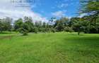 0.25 ac Land at Ngong Town - 5