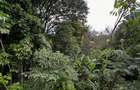 4 Bed House with En Suite in Lavington - 4
