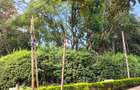 Commercial Land at Off Peponi Road - 1