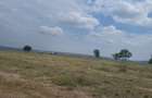 100 ac Land at Athiriver - Epz - 5
