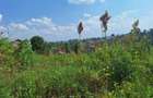 0.25 ac Commercial Land at Muthiga - 4