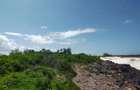 Land in Kilifi County - 19