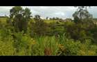 0.25 ac Land at Mugutha Ihigaini - 1