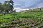 Land in Ongata Rongai - 1