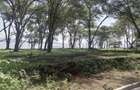 Land in Naivasha - 14
