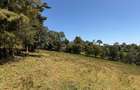 6.36 ac Land at Tigoni - 4