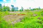 0.07 ha Residential Land at Gikambura - 4