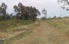 0.25 ac Land at Thika Greens Golf Estate - 12