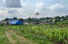 10 ac Land at Tigoni - 4