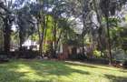 4 Bed House with En Suite at Old Muthaiga - 3