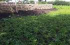 0.125 ac Residential Land in Ongata Rongai - 6