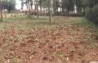 0.113 ac Land in Ngong - 1