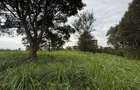 0.5 ac Land in Ruaka - 3