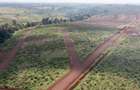 0.125 ac Residential Land in Juja - 5