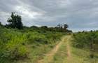 10 ac Land in Vipingo - 5