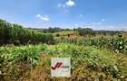 25 ac Land in Kitisuru - 11