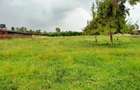 Land in Karen - 4