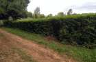 0.113 ac Residential Land in Ngong - 3