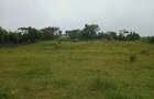 0.25 ac Land at Kibiko - 4